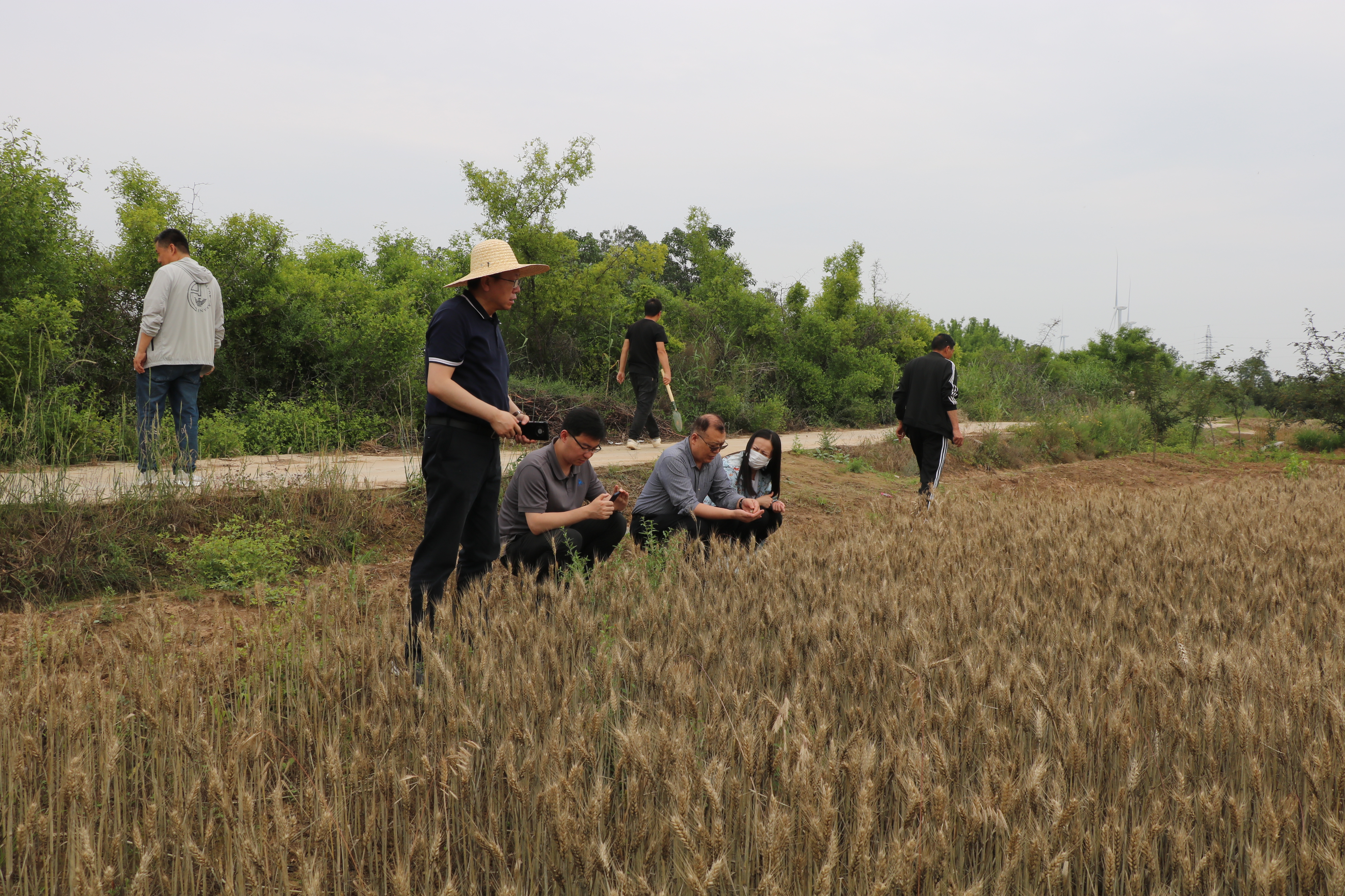 1687140858696770.jpg 1687140858696770.jpg