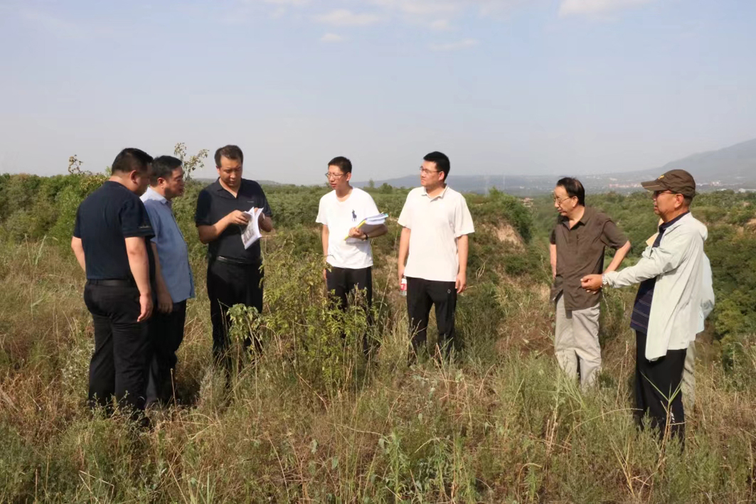 1720771854104068.jpg 1.jpg