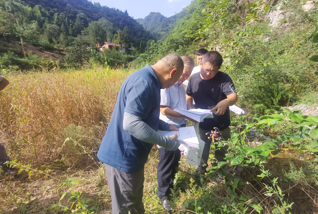 1726307644207714.jpg 1.jpg