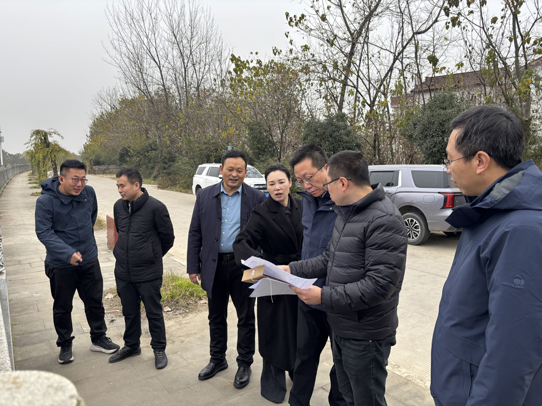 1734491764183272.jpg 1.jpg